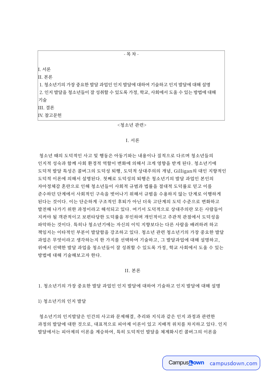 청소년기와 정체감, 발달 관련 핵심 내용 요약 정리 자료의 첫 페이지 미리보기