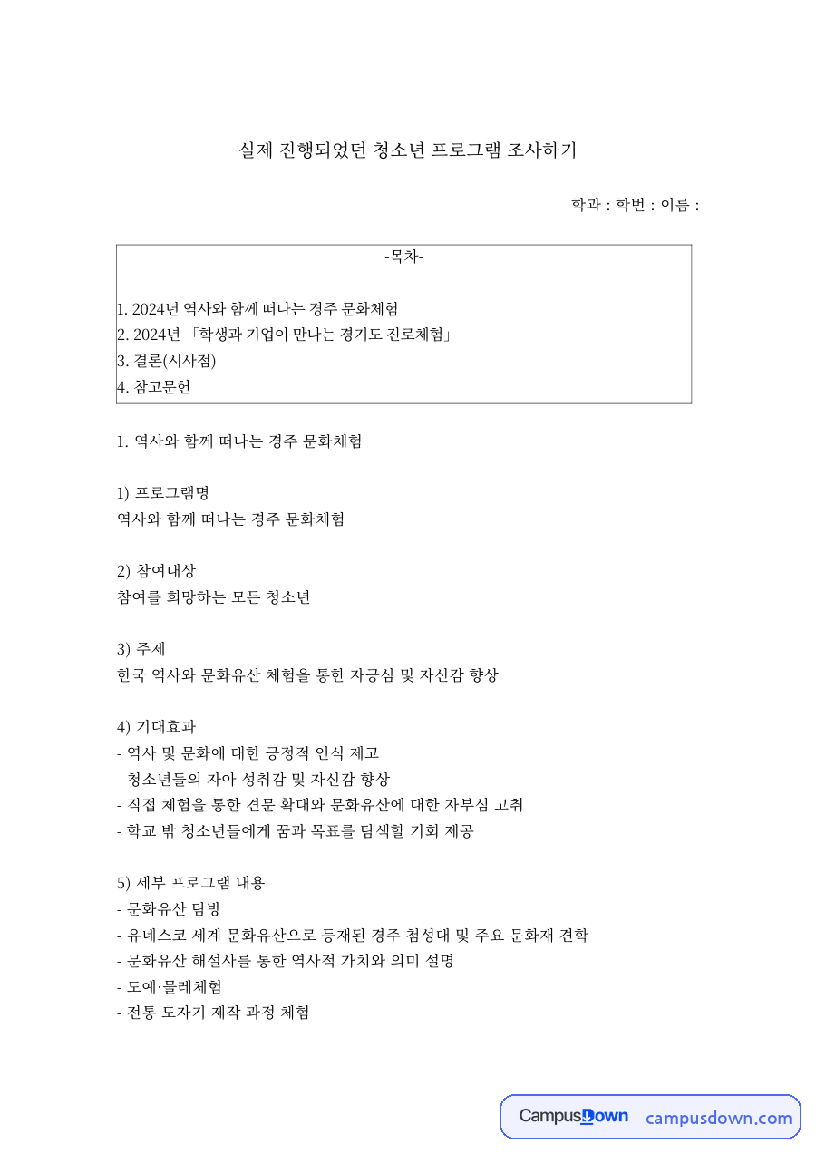 실제 진행되었던 청소년 프로그램 조사하기 자료의 첫 페이지 미리보기