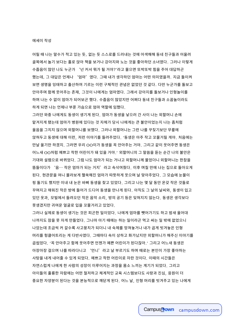 동생과 아이, 외할머니 관련 핵심 내용 요약 정리 자료의 첫 페이지 미리보기