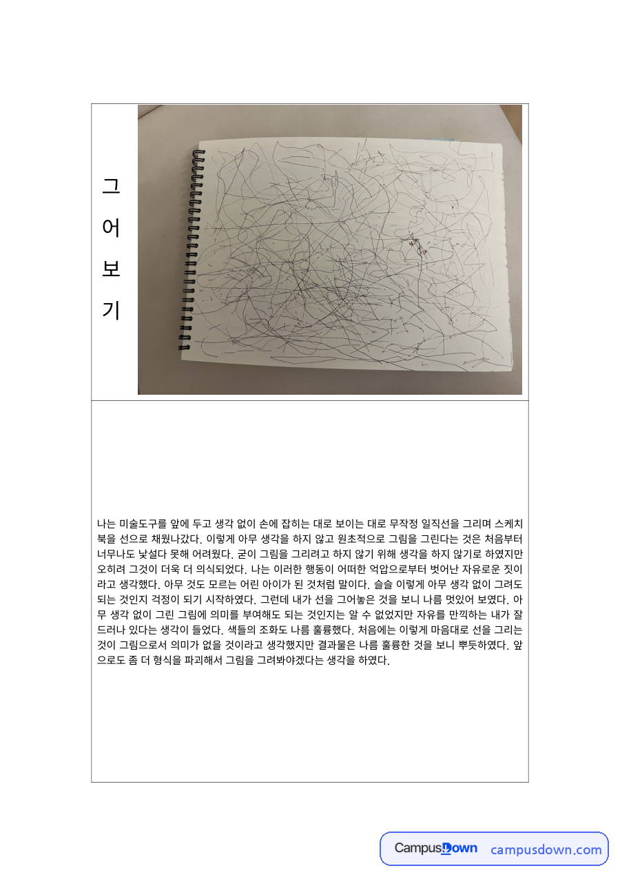 미술교육 과제 – 선 그리기 표현 활동과 느낀 점 자료의 첫 페이지 미리보기