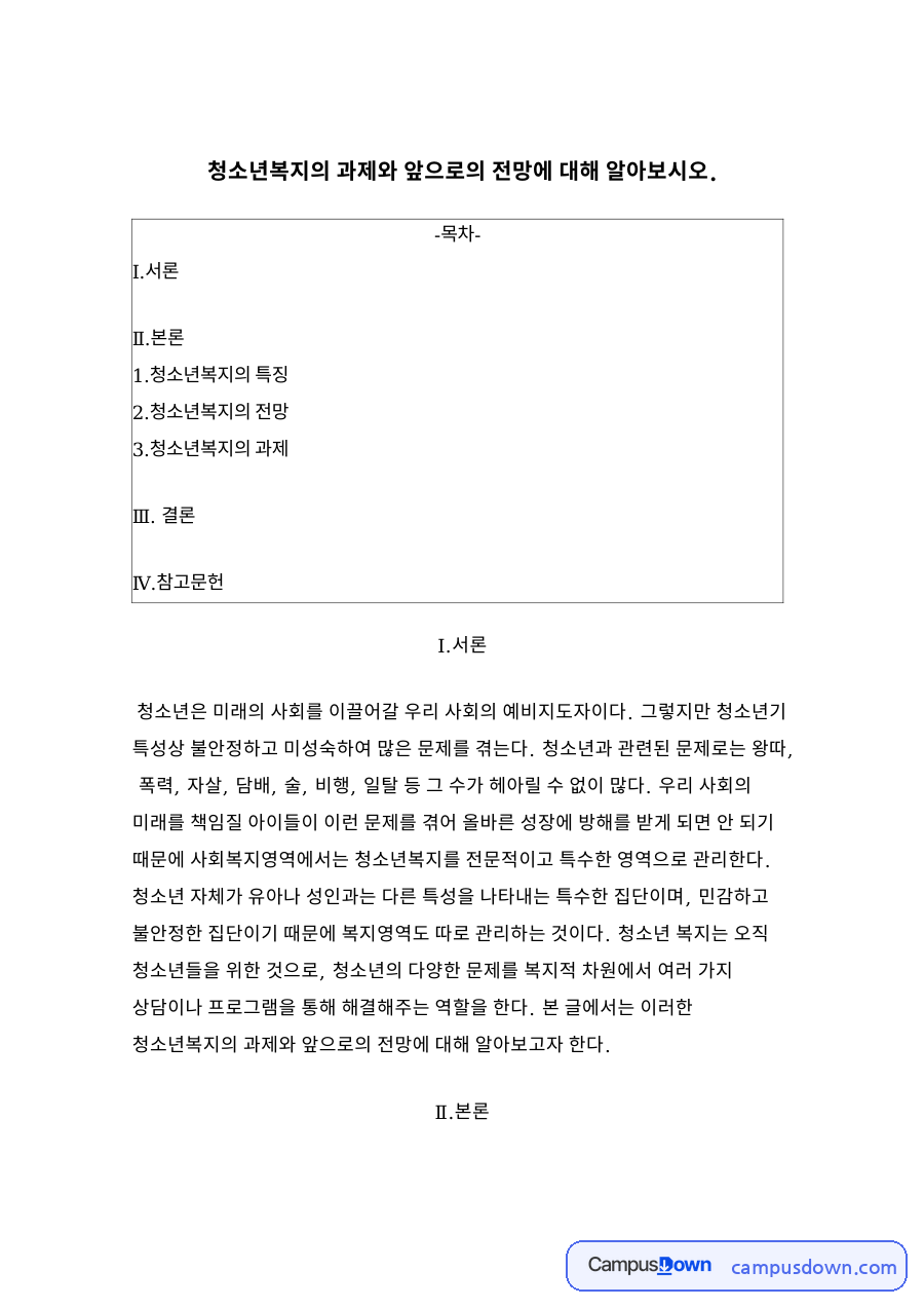 청소년복지의 과제와 앞으로의 전망 자료의 첫 페이지 미리보기