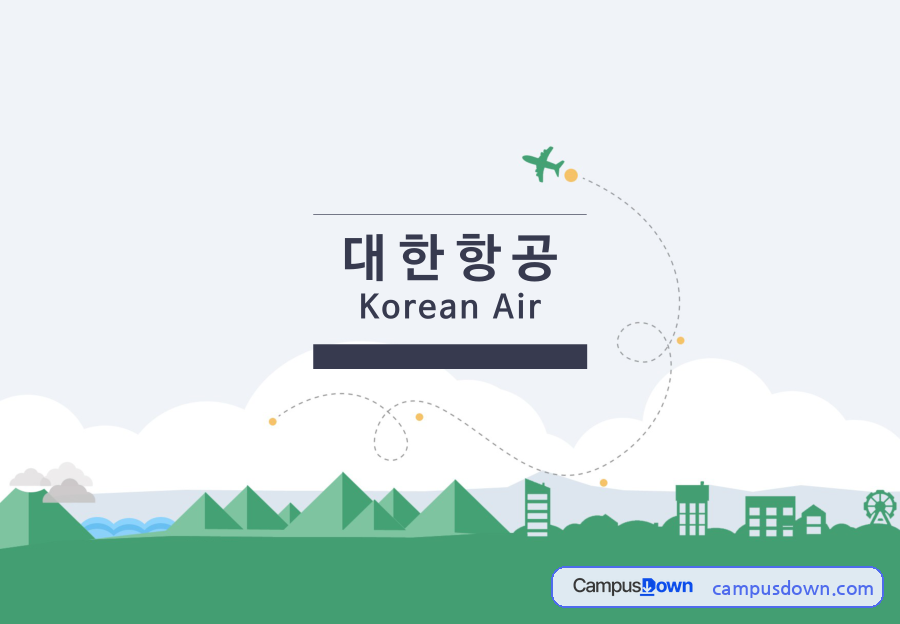 대한항공 기업분석, 저비용 항공사 경쟁과 체코항공 인수 자료의 첫 페이지 미리보기