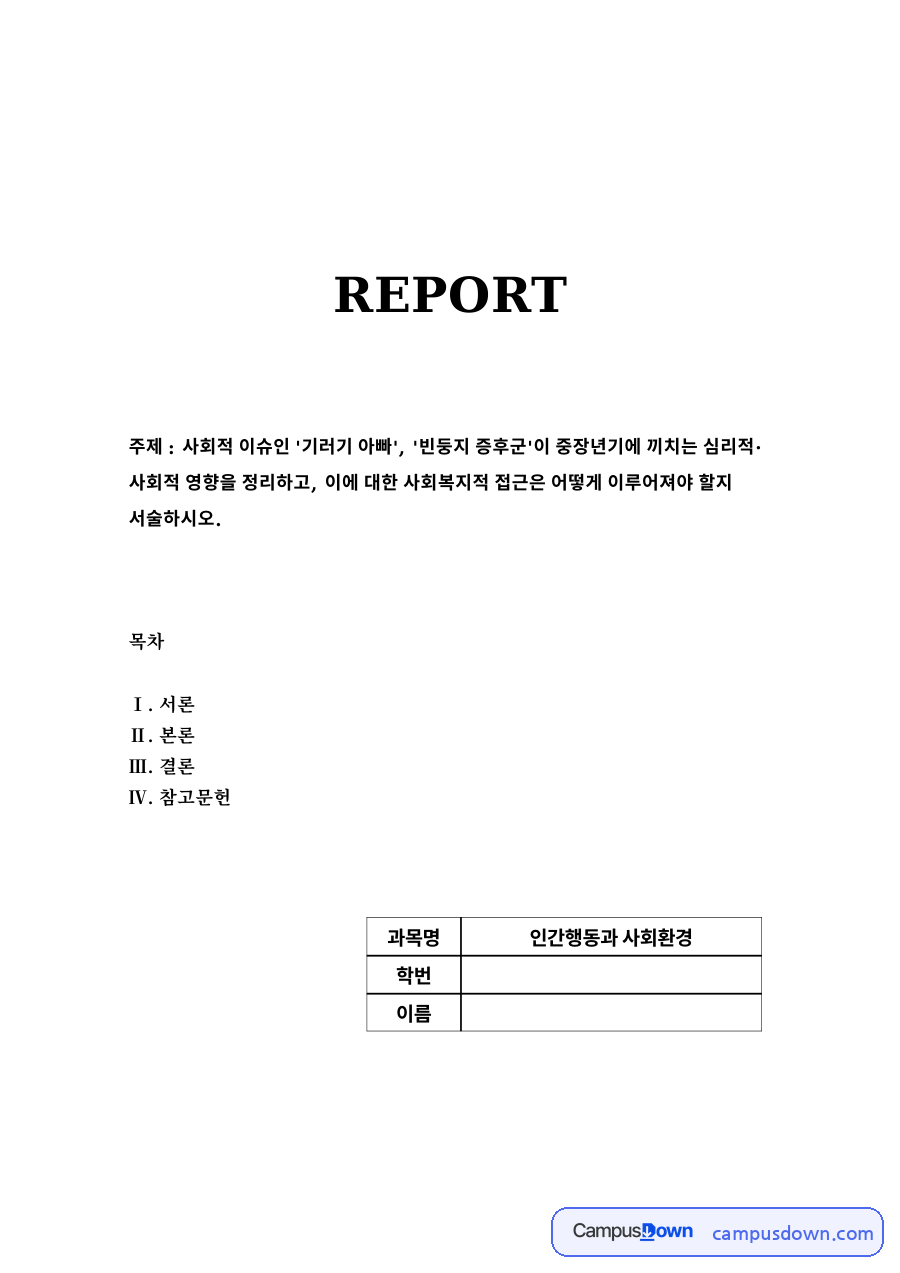중장년기 발달 과제 - 기러기 아빠와 빈둥지 증후군의 영향과 사회복지적 접근 자료의 첫 페이지 미리보기