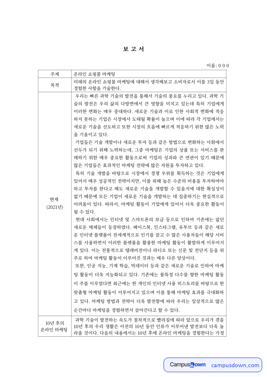 인터넷마케팅 과제 – 온라인 쇼핑몰 마케팅 체험과 전망 자료의 첫 페이지 미리보기