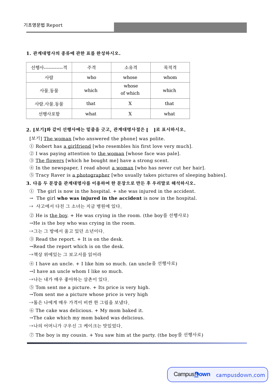 관계대명사와 문장, 보기 관련 핵심 내용 요약 정리 자료의 첫 페이지 미리보기