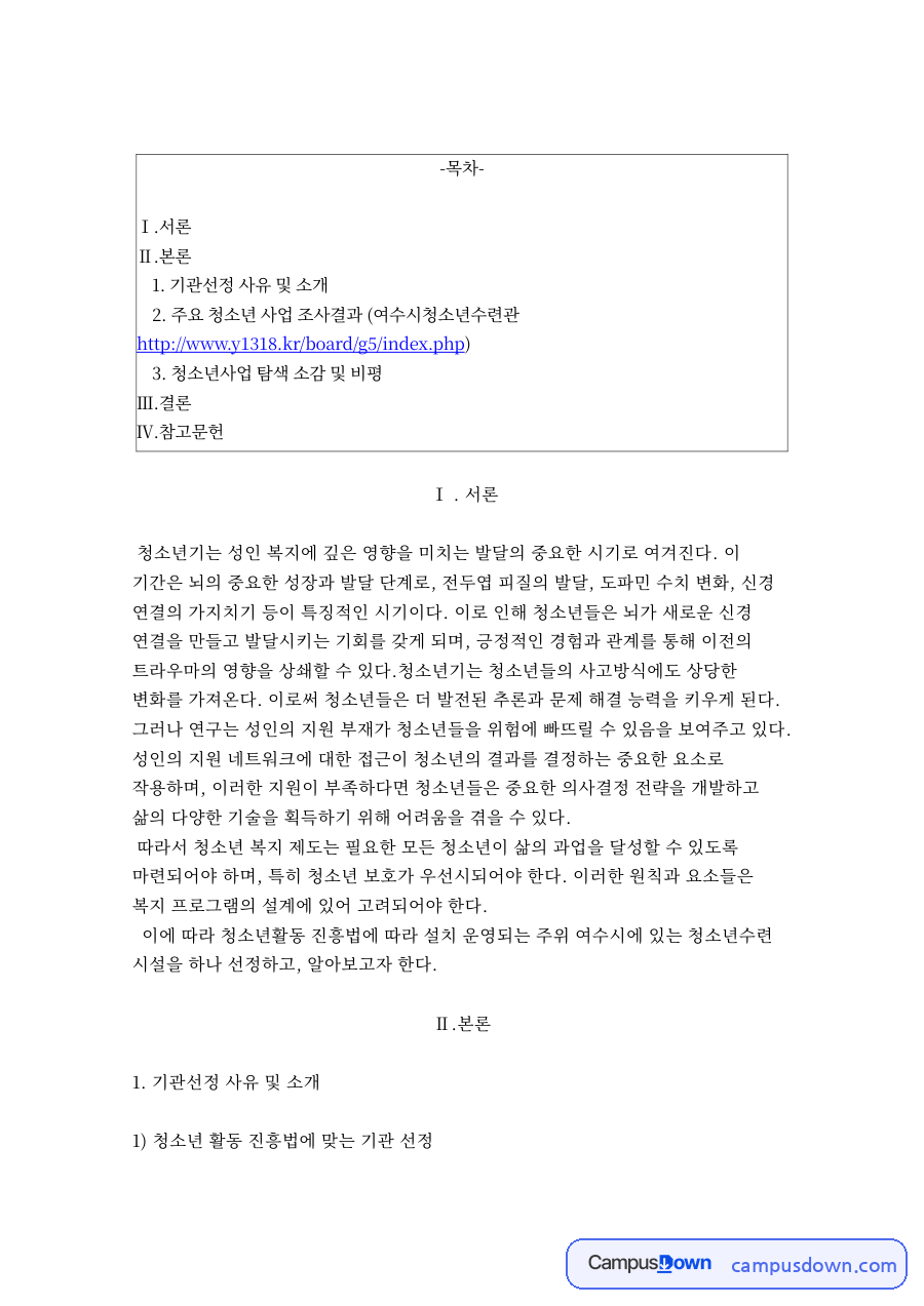 청소년수련관의 역할과 청소년 발달 지원 자료의 첫 페이지 미리보기