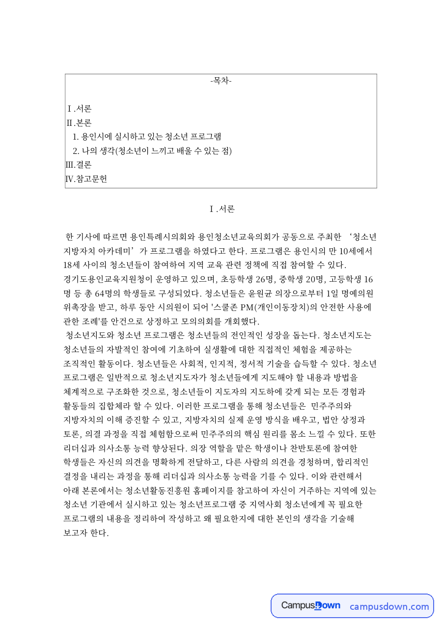 용인시에 실시하고 있는 청소년 프로그램 자료의 첫 페이지 미리보기