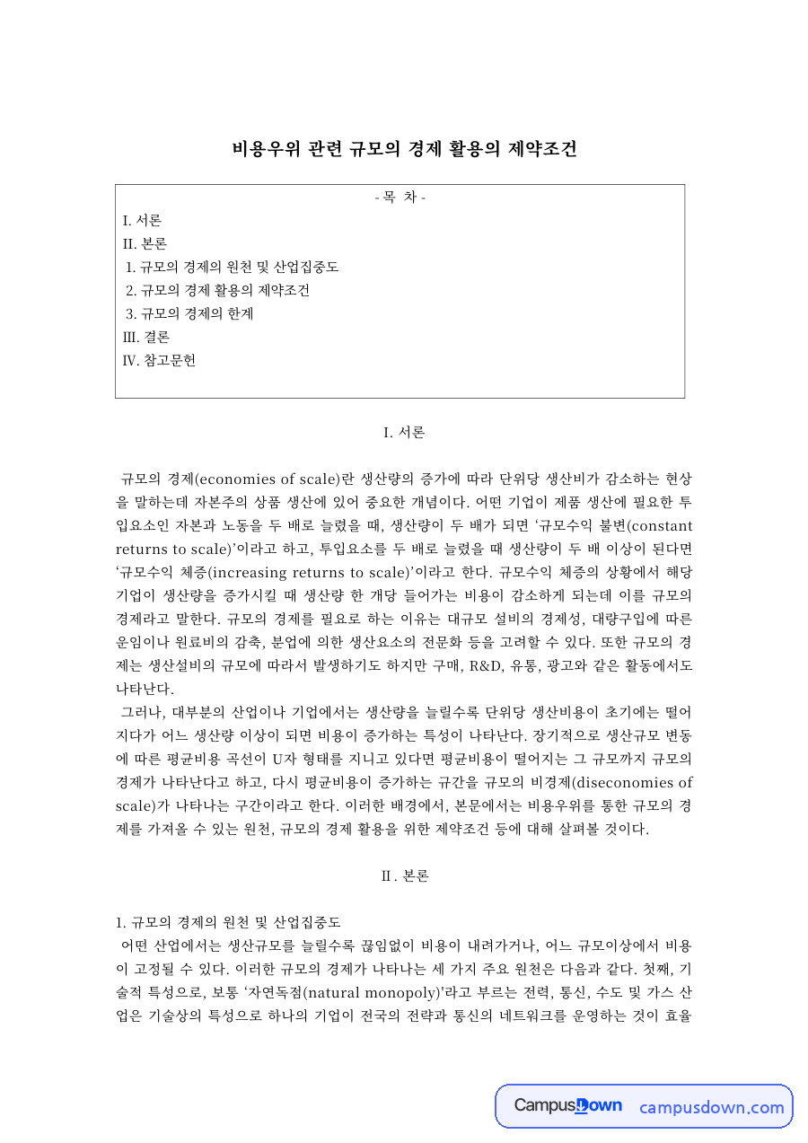 경영전략 과제 – 규모의 경제 활용의 제약조건과 한계 자료의 첫 페이지 미리보기