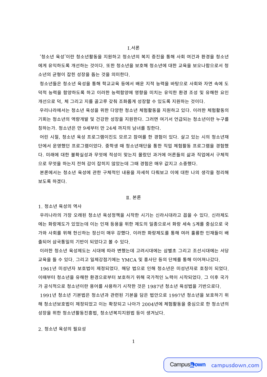 청소년 육성의 역사와 필요성 지원내용과 정부 정책에 대한 의견 자료의 첫 페이지 미리보기