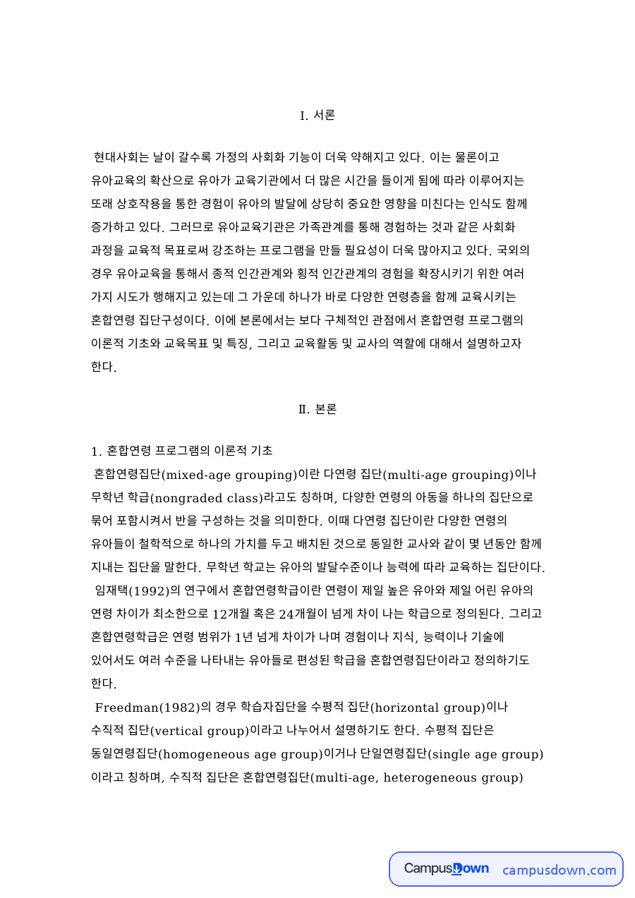 혼합연령 프로그램의 이론적 기초 핵심 개념과 주요 내용 정리 자료의 첫 페이지 미리보기