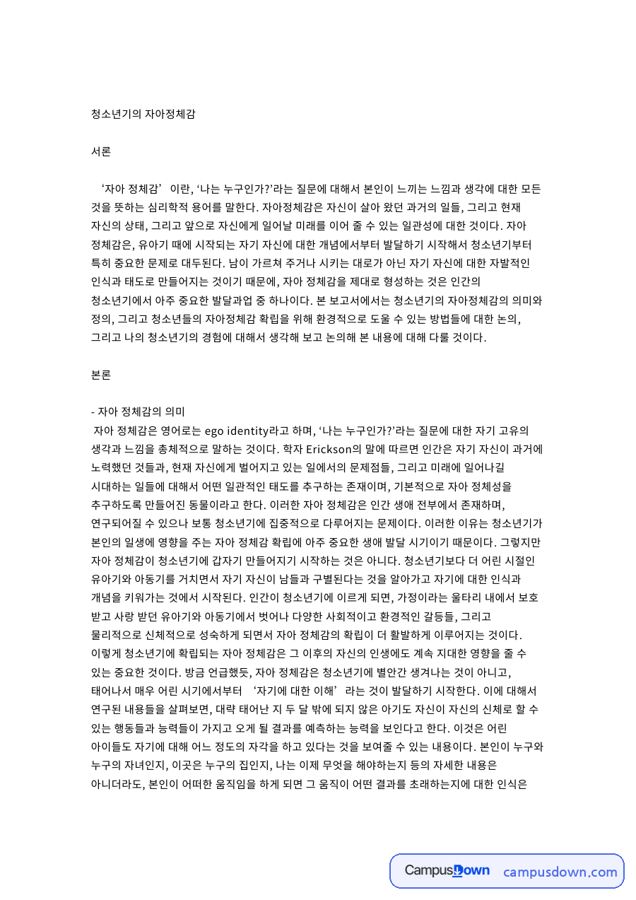 청소년기의 자아정체감 핵심 개념과 주요 내용 정리 자료의 첫 페이지 미리보기
