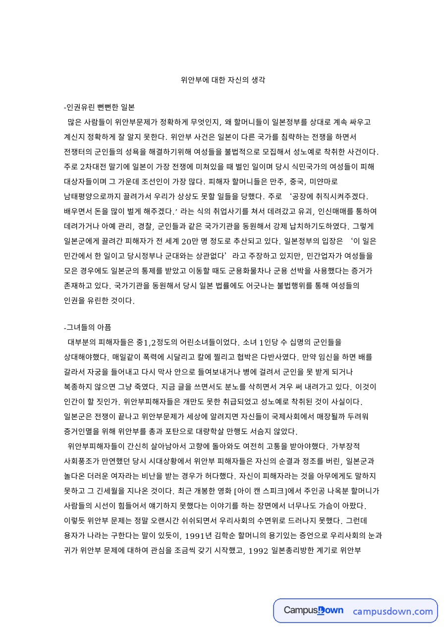 위안부에 대한 자신의 생각 핵심 개념과 주요 내용 정리 자료의 첫 페이지 미리보기