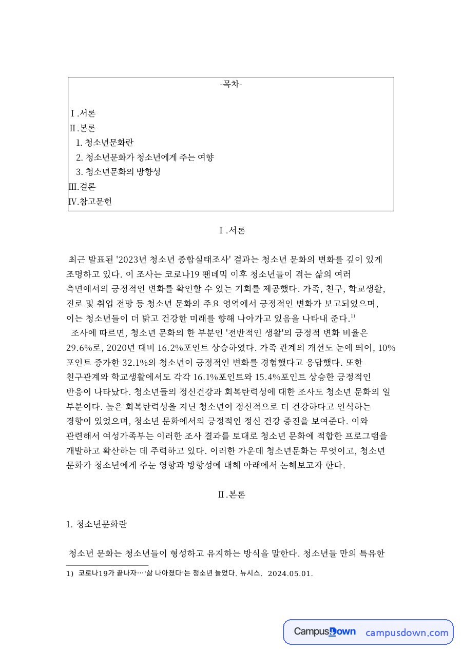 청소년문화란과 청소년문화가 청소년에게 주는 여향 자료의 첫 페이지 미리보기