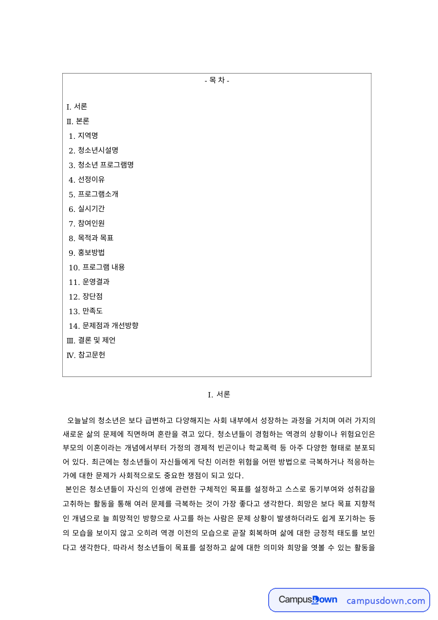 청소년프로그램 과제 – 지역 청소년 시설과 프로그램 분석 자료의 첫 페이지 미리보기