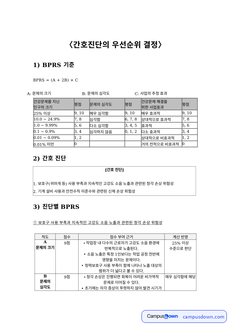 산업간호 간호진단 우선순위 결정 BPRS 척도 적용 자료의 첫 페이지 미리보기