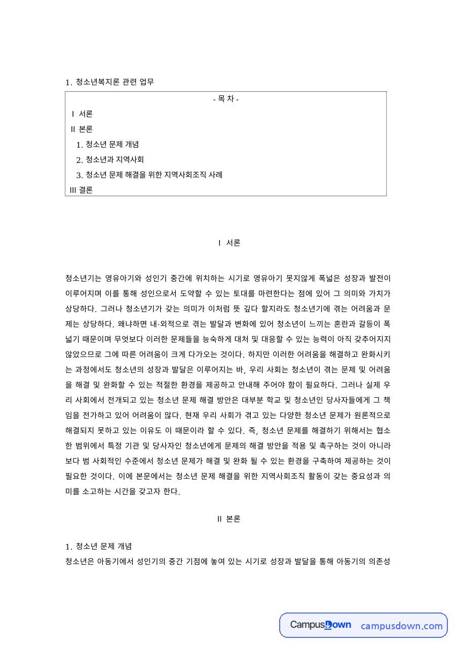 청소년복지론 과제 – 청소년 문제 해결을 위한 지역사회조직 사례 자료의 첫 페이지 미리보기
