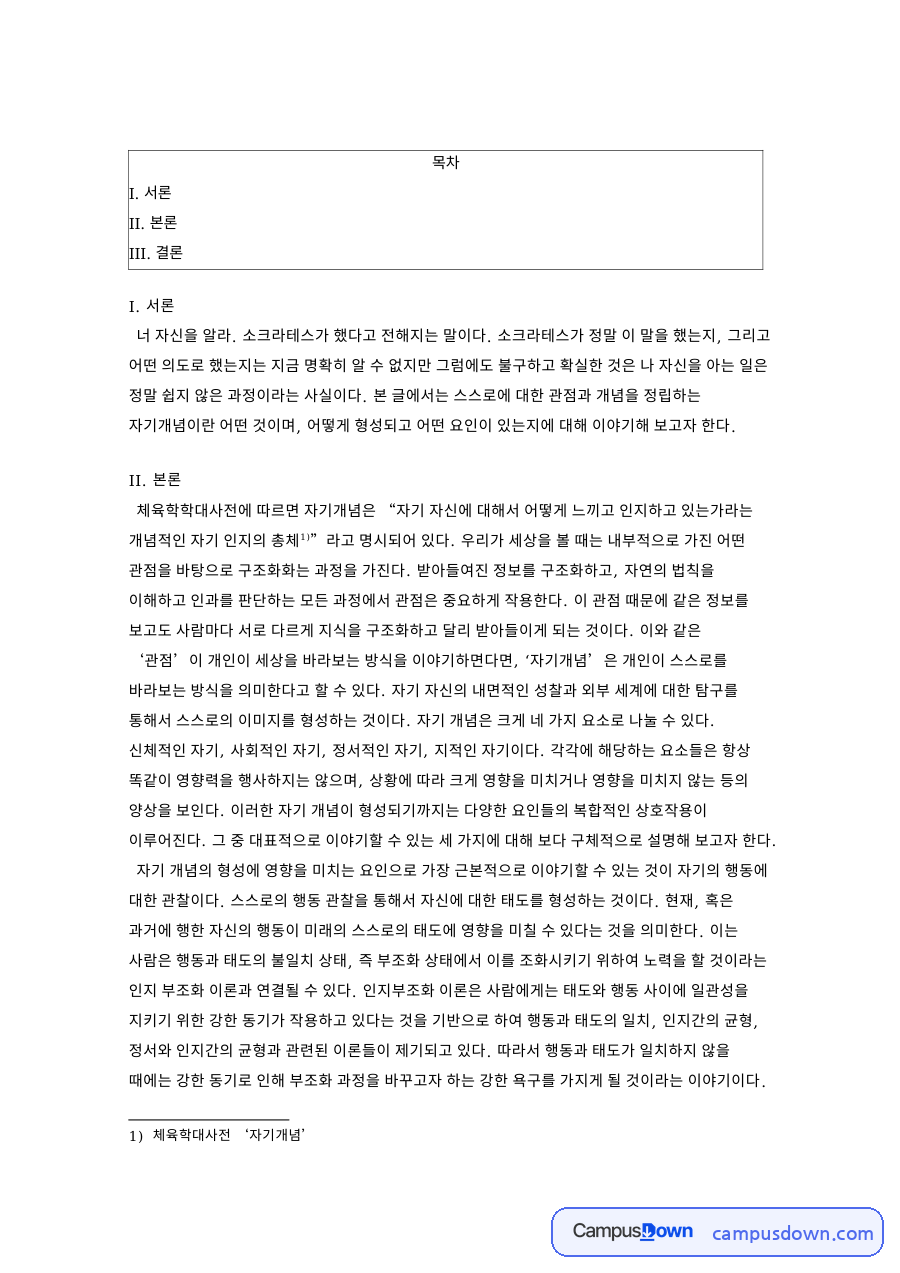 체육학대사전 자기개념 핵심 개념과 주요 내용 정리 자료의 첫 페이지 미리보기
