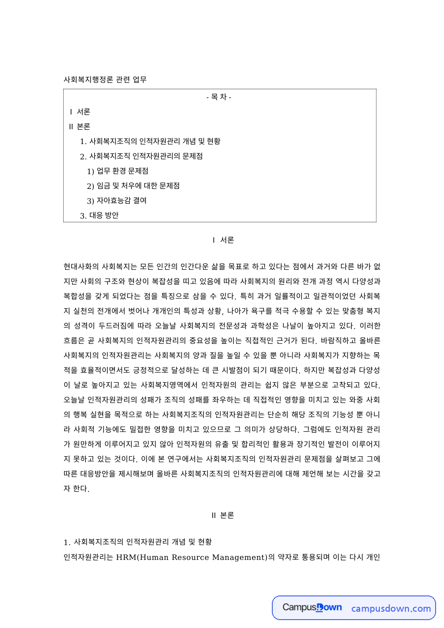 사회복지행정 과제 – 사회복지조직 인적자원관리의 문제점 자료의 첫 페이지 미리보기