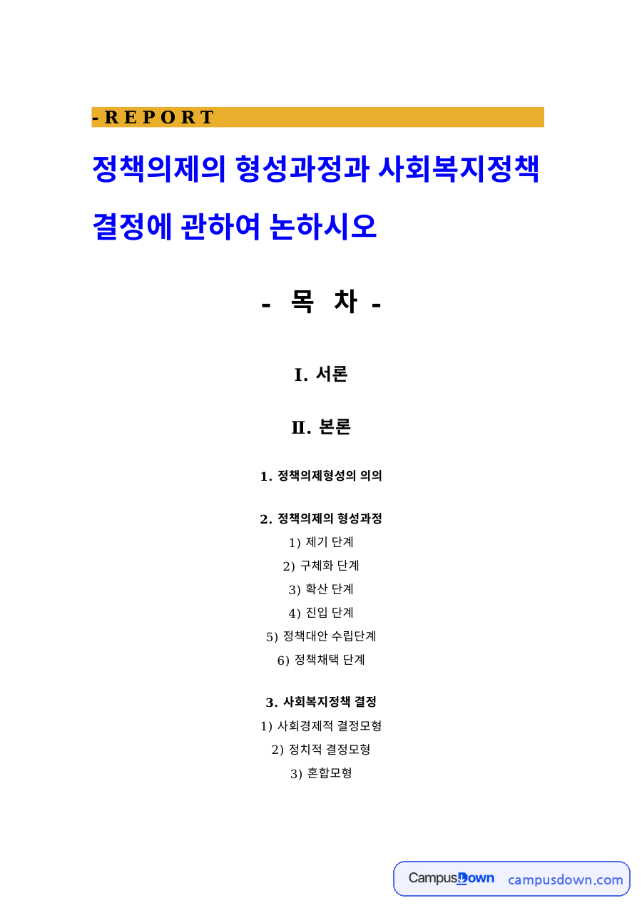 정책의제의 형성과정 자료의 첫 페이지 미리보기