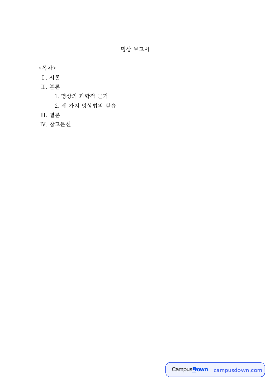 명상의 과학적 근거와 호흡·만트라 명상법 실습 보고서 자료의 첫 페이지 미리보기