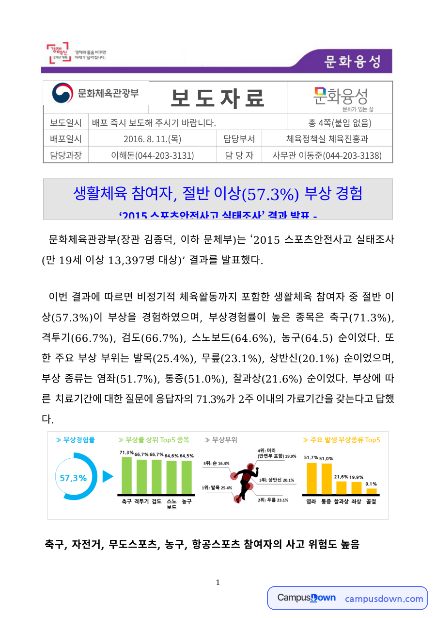 안전관리 과제 – 2015 스포츠안전사고 실태조사 결과 분석 자료의 첫 페이지 미리보기