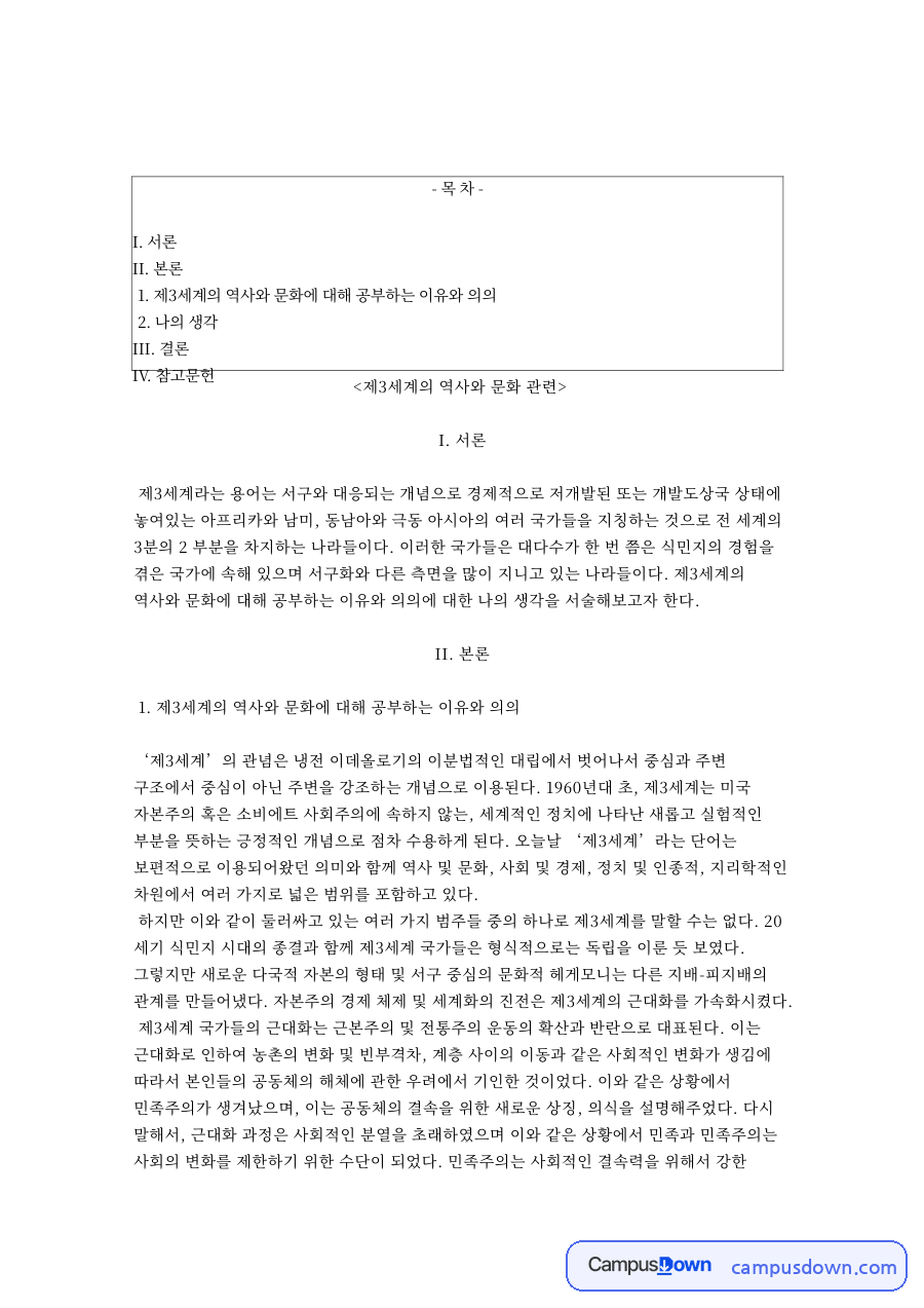 제3세계의 역사와 문화 핵심 개념과 주요 내용 정리 자료의 첫 페이지 미리보기
