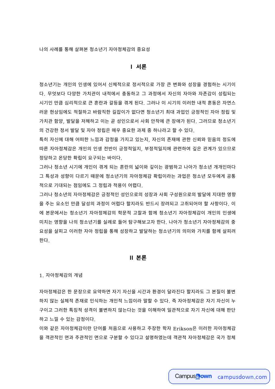 청소년기 자아정체감의 개념과 중요성, 바람직한 자아정체감 확립 방법 자료의 첫 페이지 미리보기