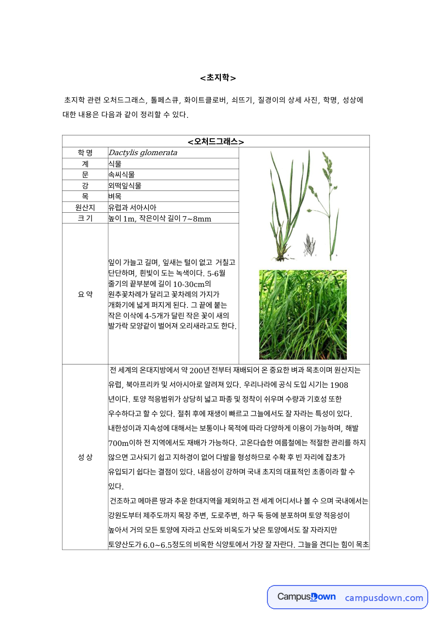 초지학 과제 - 오처드그래스 등 목초·잡초의 학명과 형태, 생육 특성 자료의 첫 페이지 미리보기