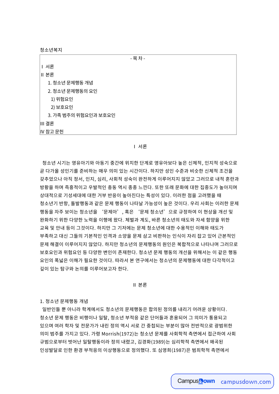 청소년 문제행동 개념 핵심 개념과 주요 내용 정리 자료의 첫 페이지 미리보기