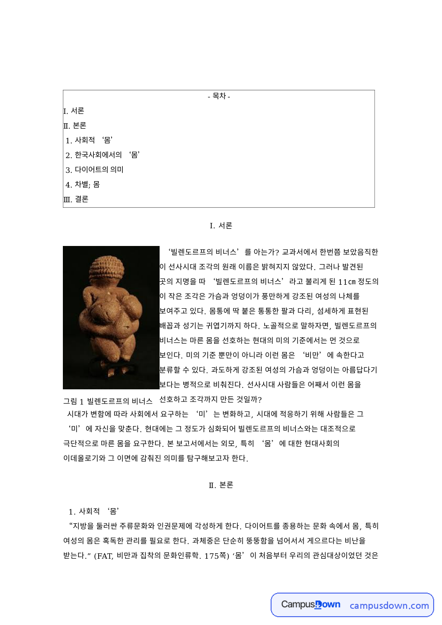 한국사회에서의 몸: 비만·문화인류학 중심 핵심 내용 정리 자료의 첫 페이지 미리보기