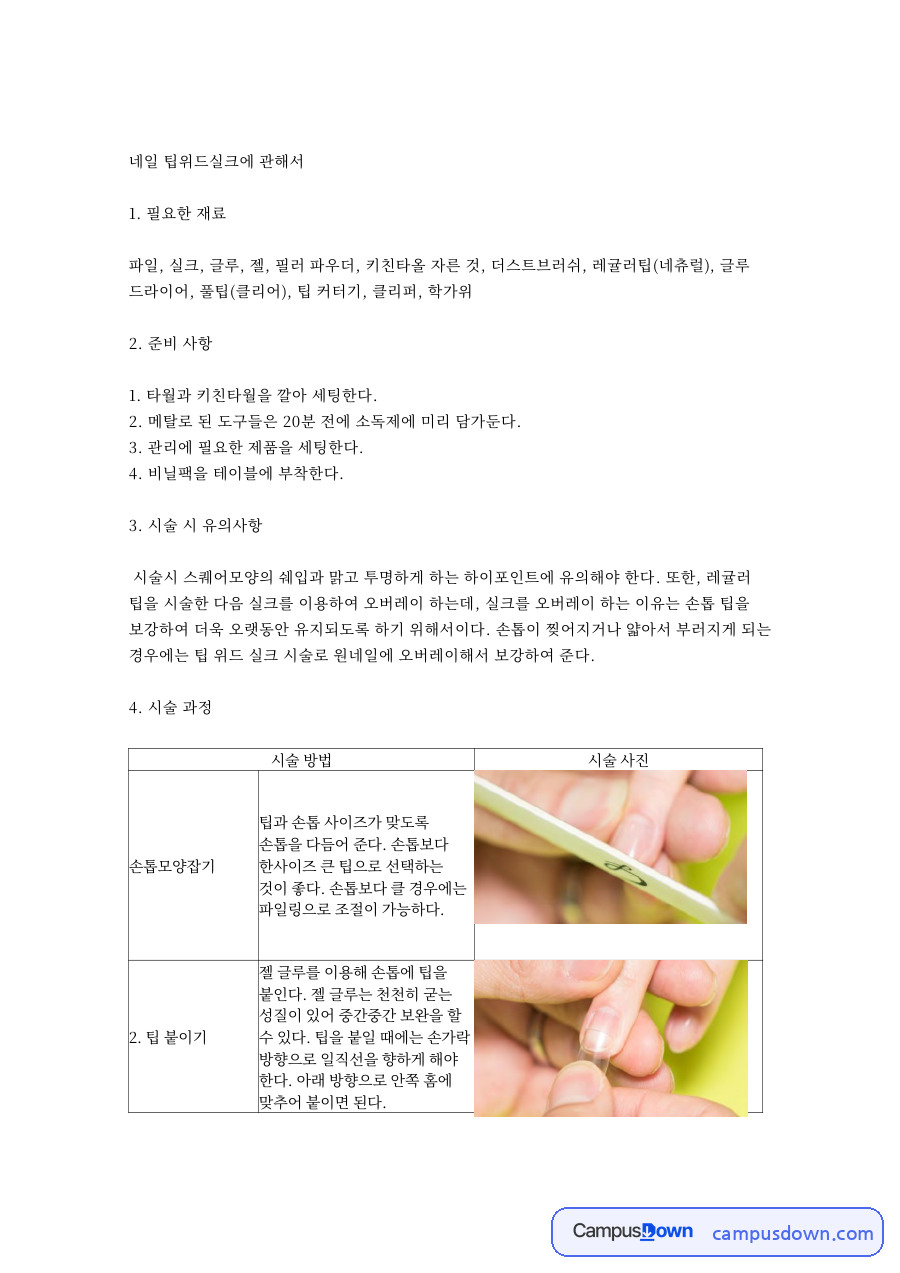 네일 팁위드실크에 관 핵심 개념과 주요 내용 정리 자료의 첫 페이지 미리보기