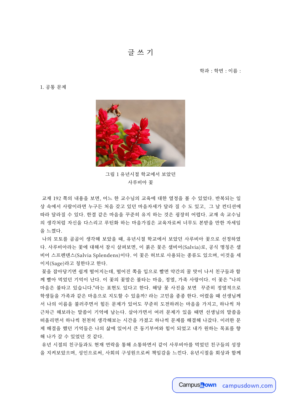 글쓰기 과제 – 교육에 대한 열정과 초심 자료의 첫 페이지 미리보기