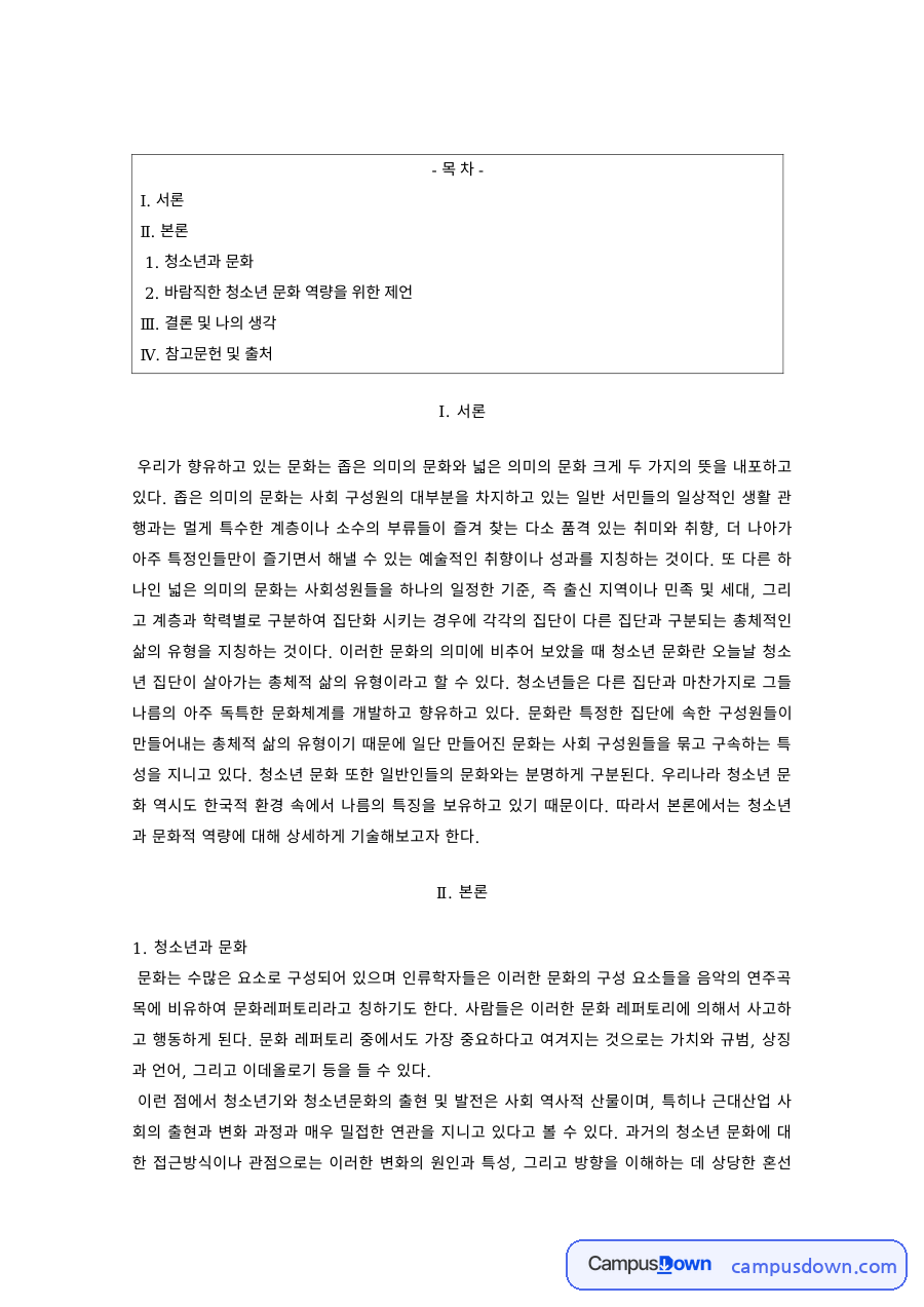 청소년문화 과제 – 바람직한 청소년 문화 역량을 위한 제언 자료의 첫 페이지 미리보기