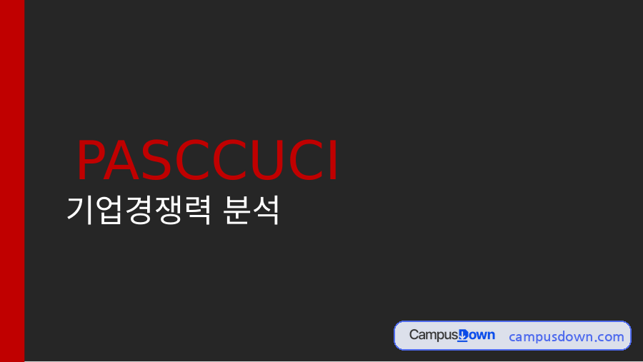 파스쿠찌 기업경쟁력 분석 – 4P·STP와 시사점 자료의 첫 페이지 미리보기