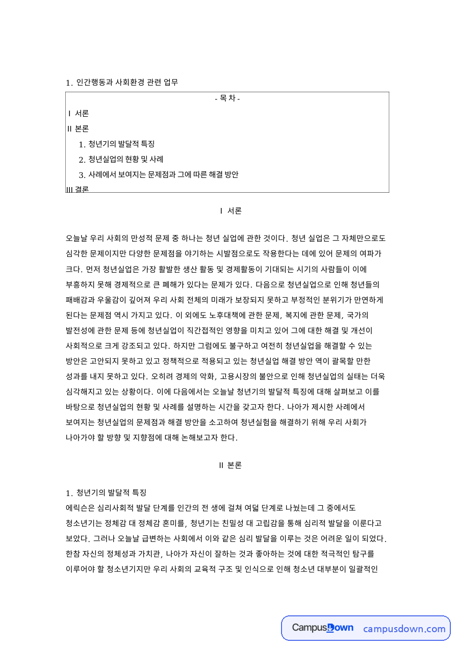 청년실업의 문제점과 청년기 발달 특징 해결 방안 정리 자료의 첫 페이지 미리보기