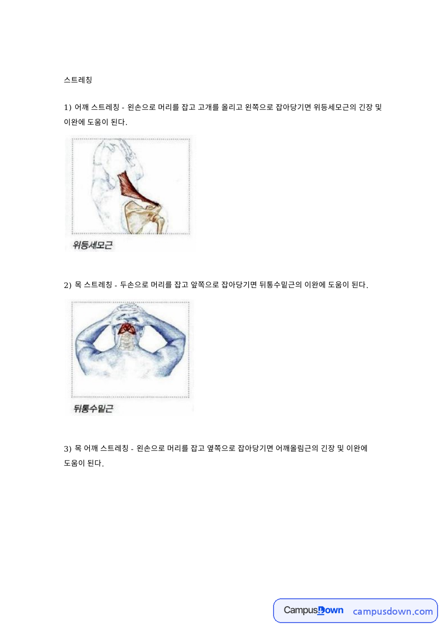 스트레칭과 이완, 잡아당기면 관련 핵심 내용 요약 정리 자료의 첫 페이지 미리보기