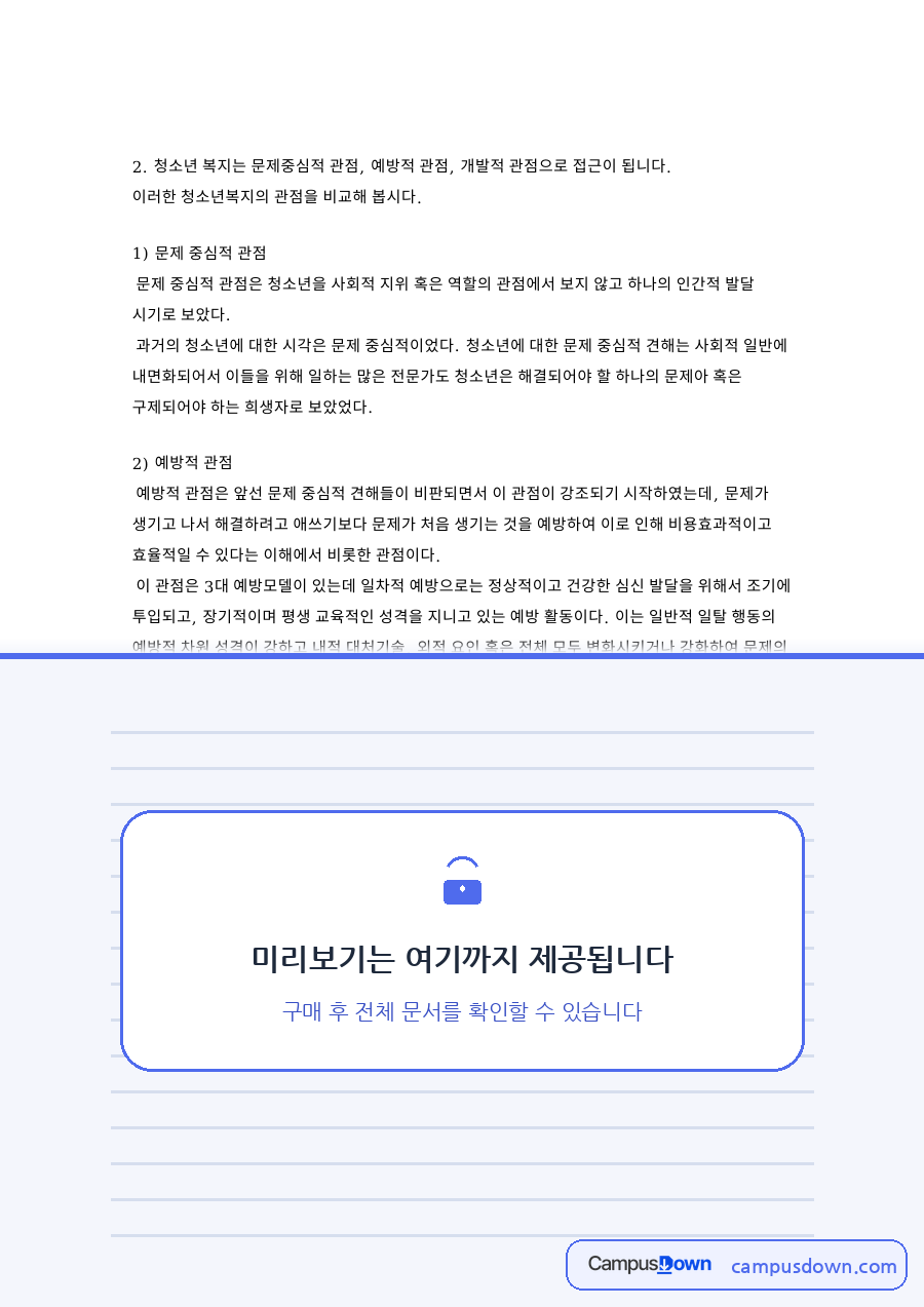 문제 중심적 관점: 청소년·일탈 중심 핵심 내용 정리 자료의 첫 페이지 미리보기