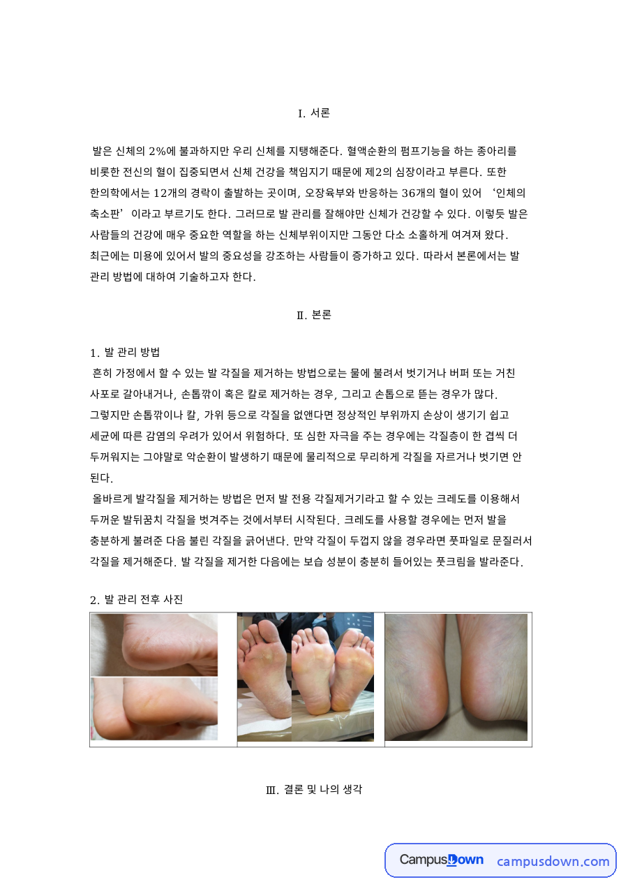 발 관리 방법: 각질·제거 중심 핵심 내용 정리 자료의 첫 페이지 미리보기