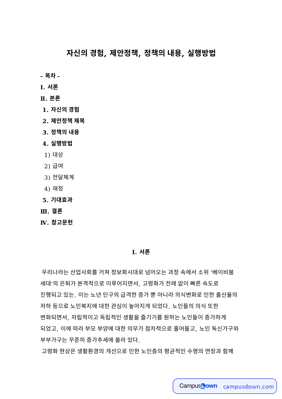 자신의 경험, 제안정책, 정책의 내용, 실행방법 자료의 첫 페이지 미리보기