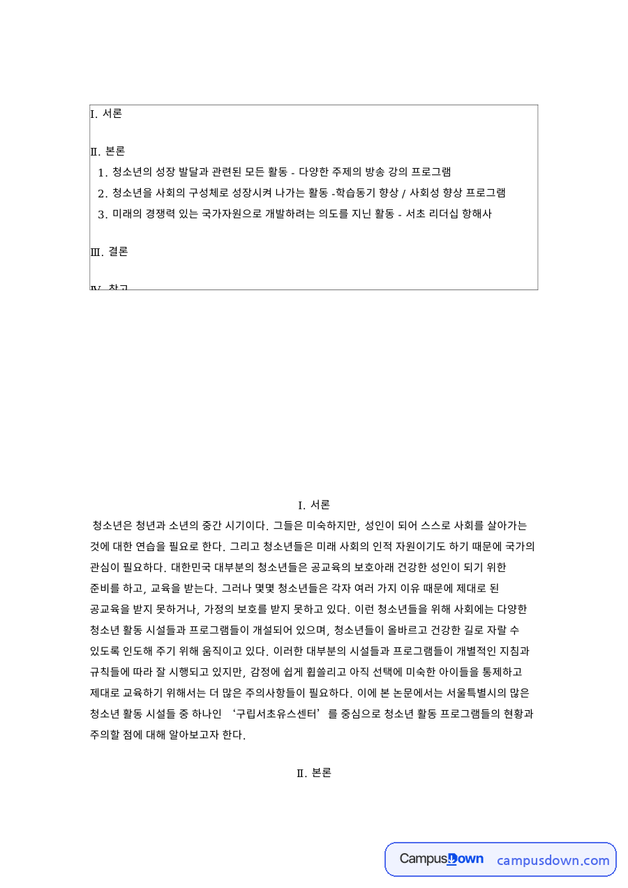 청소년과 시설들, 프로그램 관련 핵심 내용 요약 정리 자료의 첫 페이지 미리보기