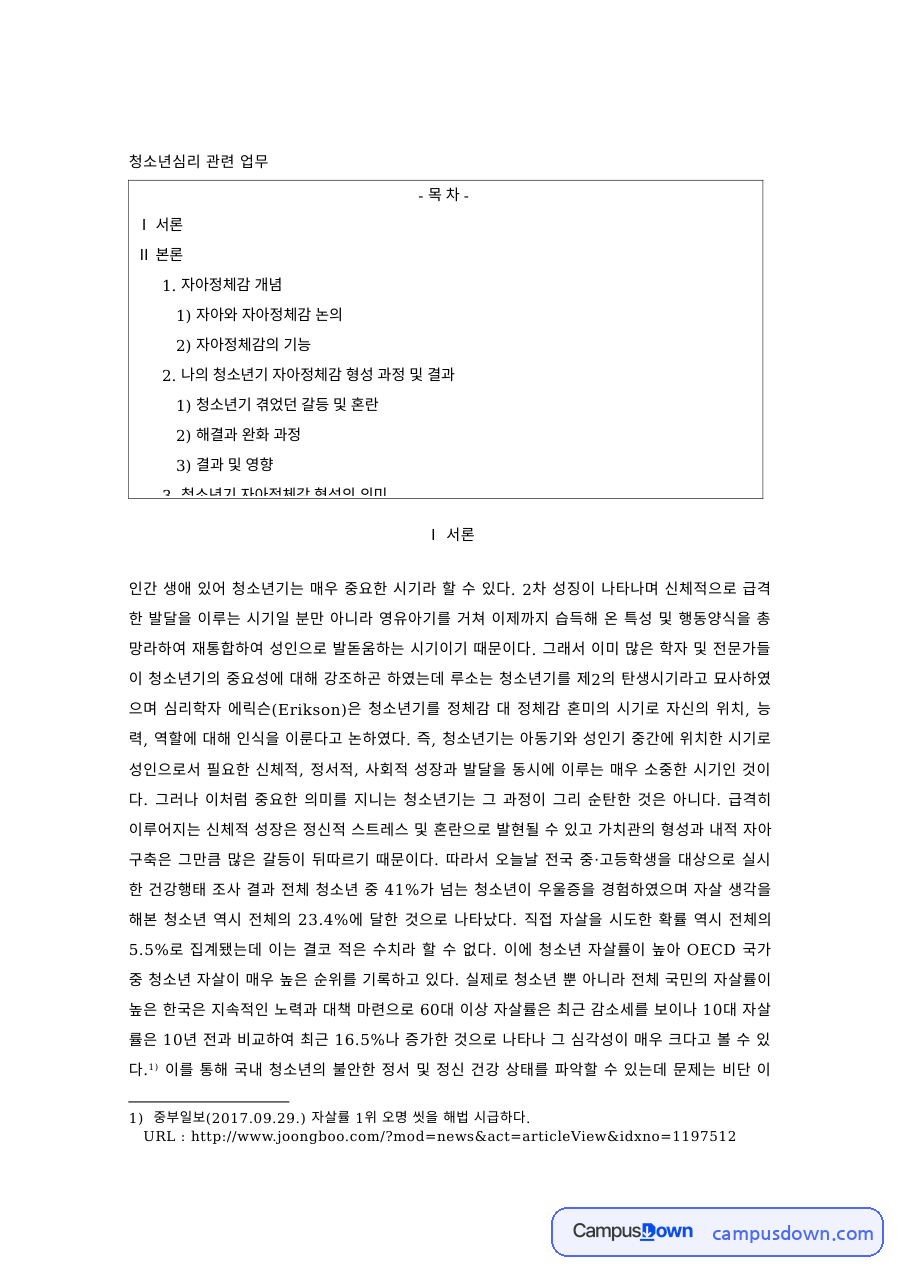 청소년심리 과제 – 자아정체감의 기능과 청소년기 갈등 자료의 첫 페이지 미리보기