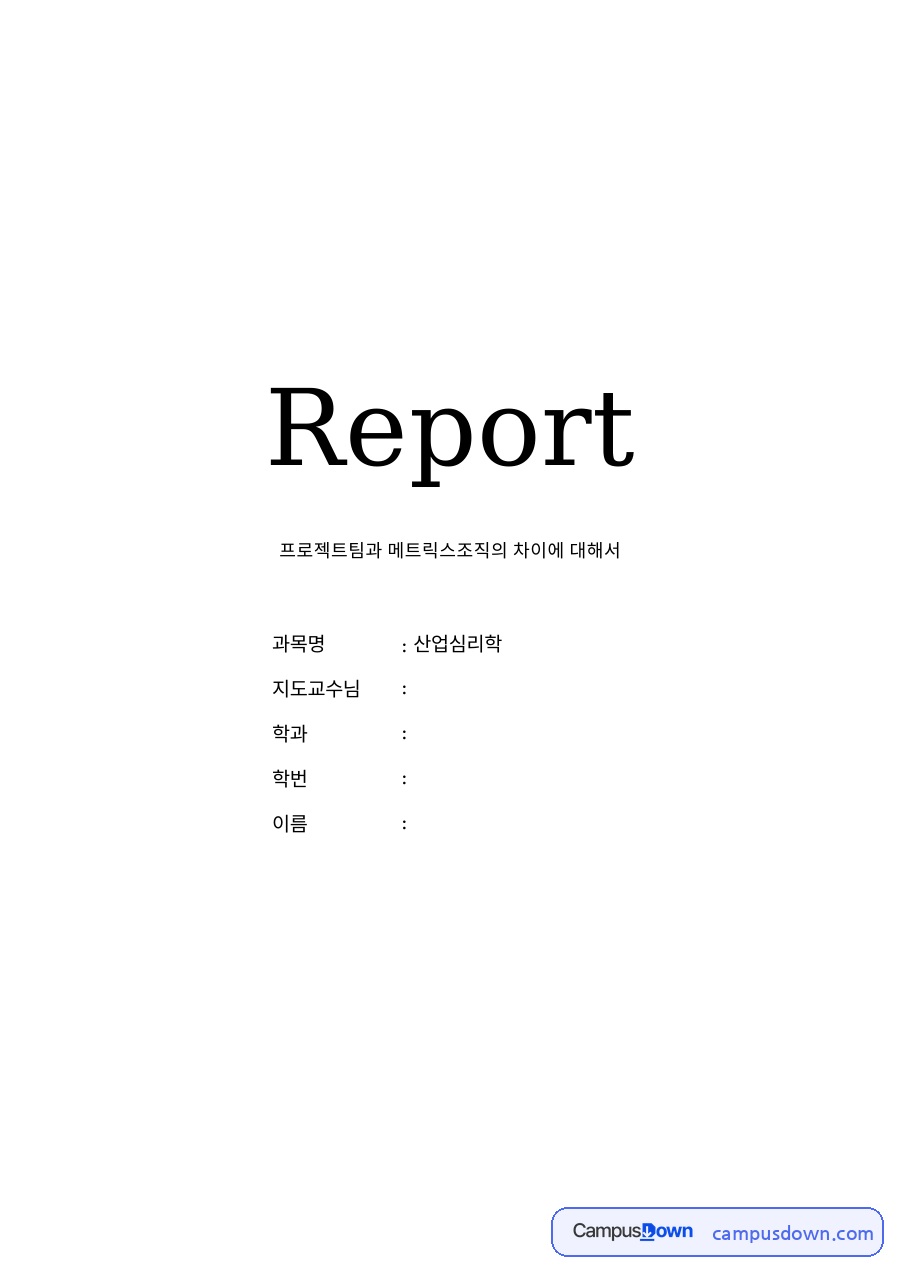 프로젝트팀과 메트릭스조직의 차 자료의 첫 페이지 미리보기
