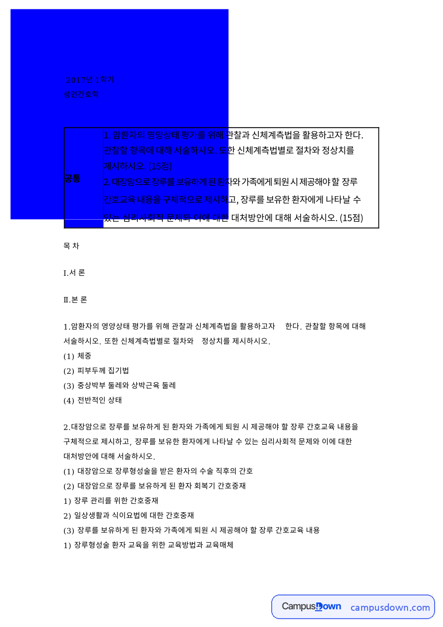 장루와 환자, 보유자 관련 핵심 내용 요약 정리 자료의 첫 페이지 미리보기