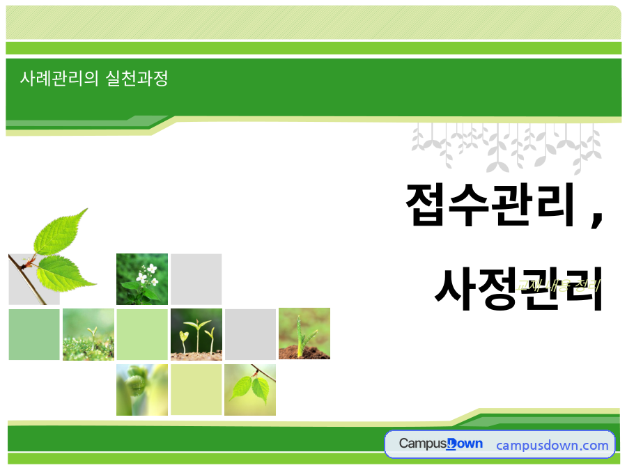 사례관리 과제 – 사례관리 접수과정의 요소·기록·기술 자료의 첫 페이지 미리보기