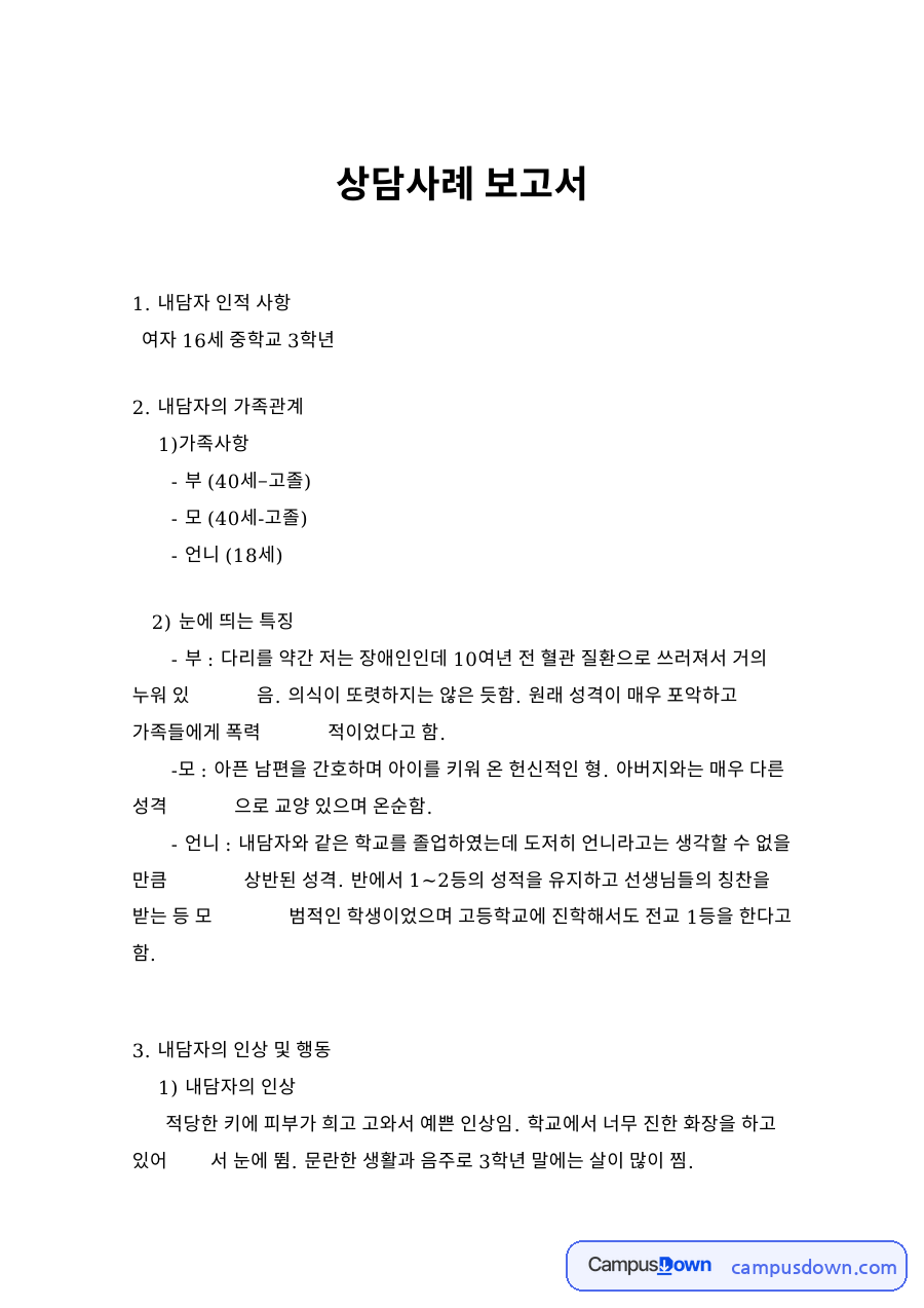 상담사례 보고서 자료의 첫 페이지 미리보기