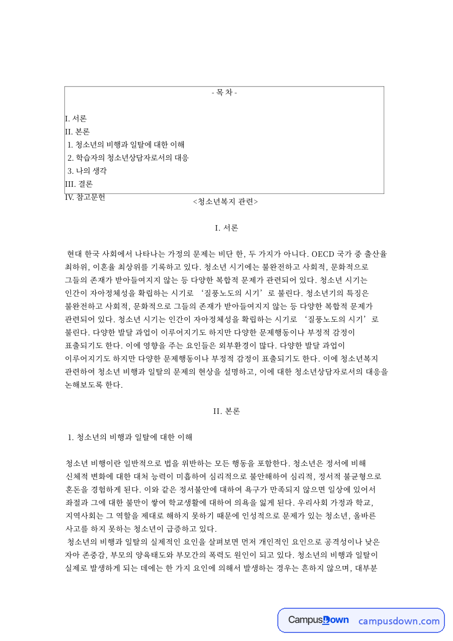 청소년의 비행과 일탈에 대한 이해 자료의 첫 페이지 미리보기