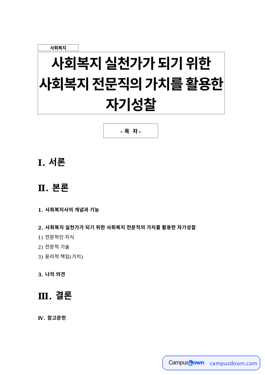 사회복지사의 개념과 기능 자료의 첫 페이지 미리보기