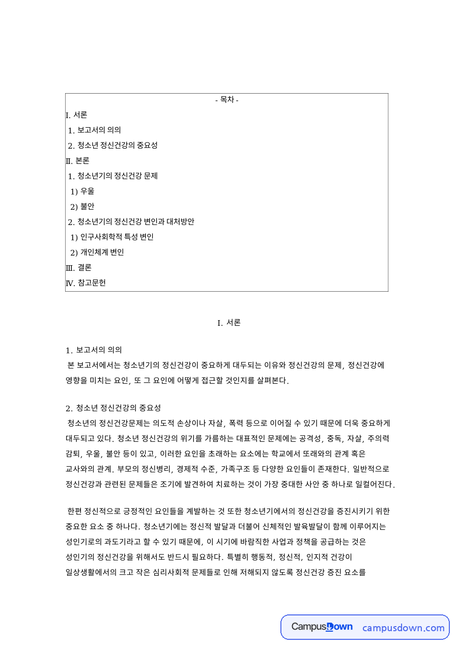 청소년 정신건강의 중요성 핵심 개념과 주요 내용 정리 자료의 첫 페이지 미리보기