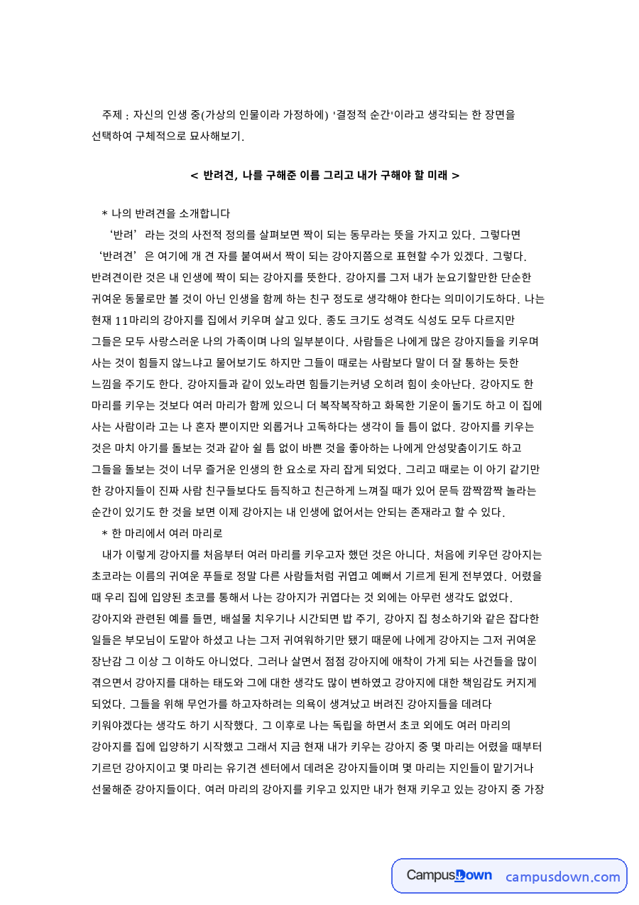 강아지와 유기견, 마리 관련 핵심 내용 요약 정리 자료의 첫 페이지 미리보기
