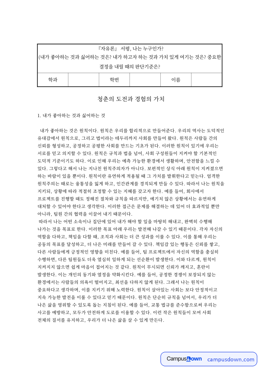 청춘의 도전과 경험의 가치 자료의 첫 페이지 미리보기